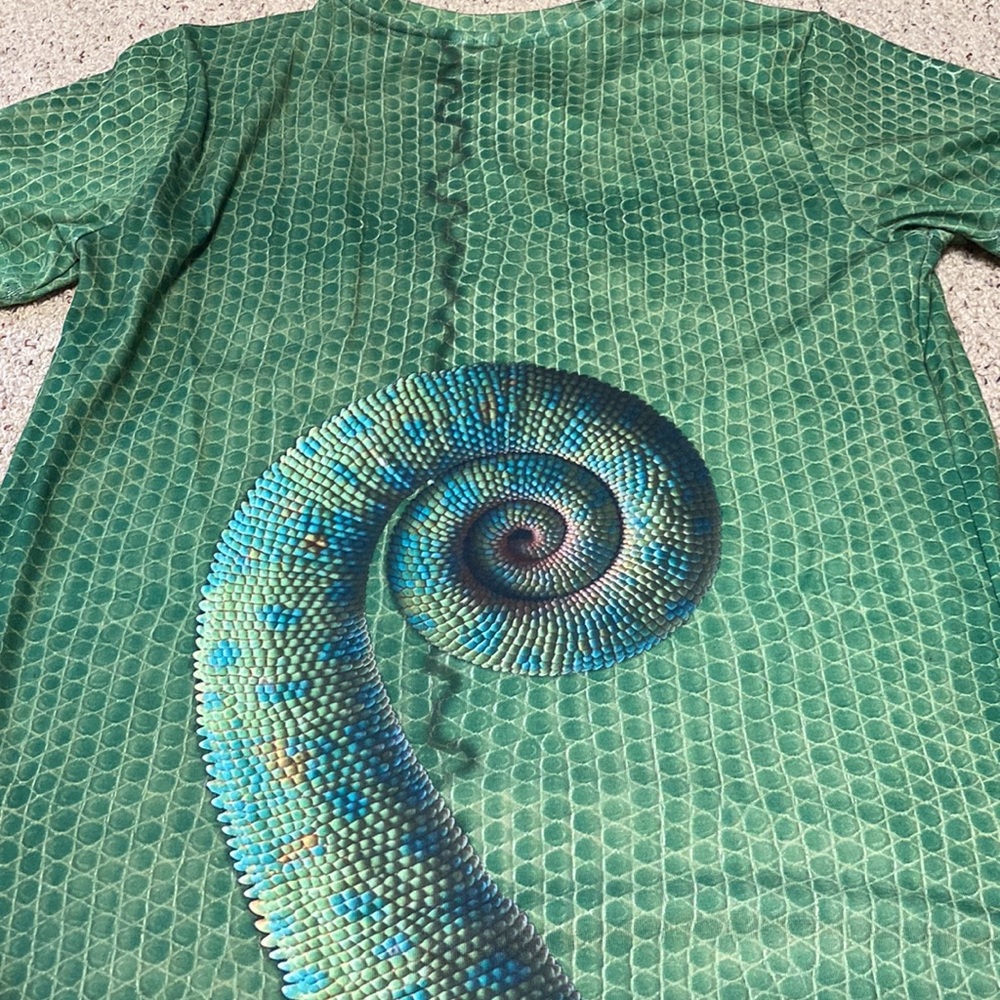 Pascal From Tangled - image 1